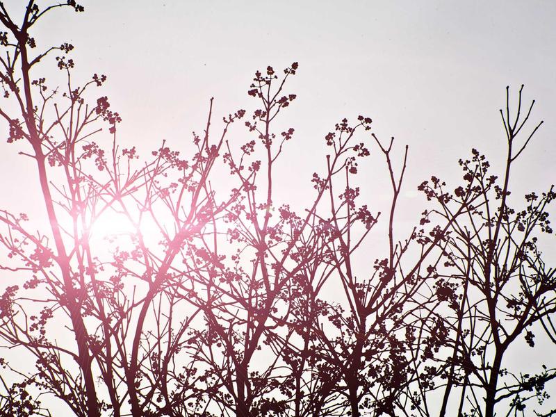 sudoku printable screenshot 6