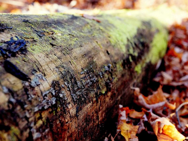 feedback screenshot 3